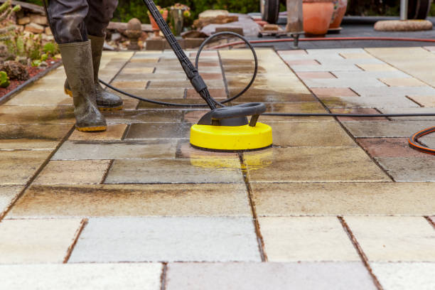 Animal Enclosure Cleaning in Upper Arlington, OH